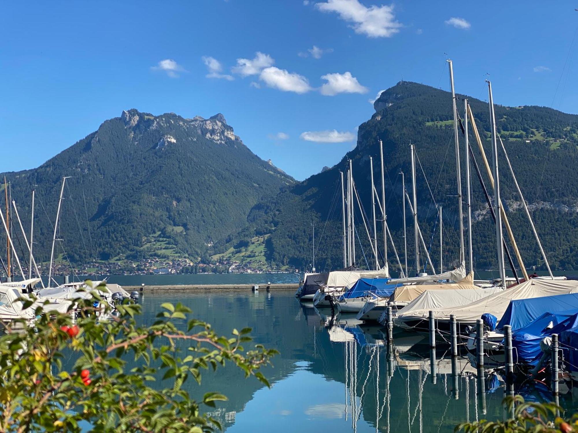 Herrlicher Blick Auf Berge Und See ファウレンゼー エクステリア 写真