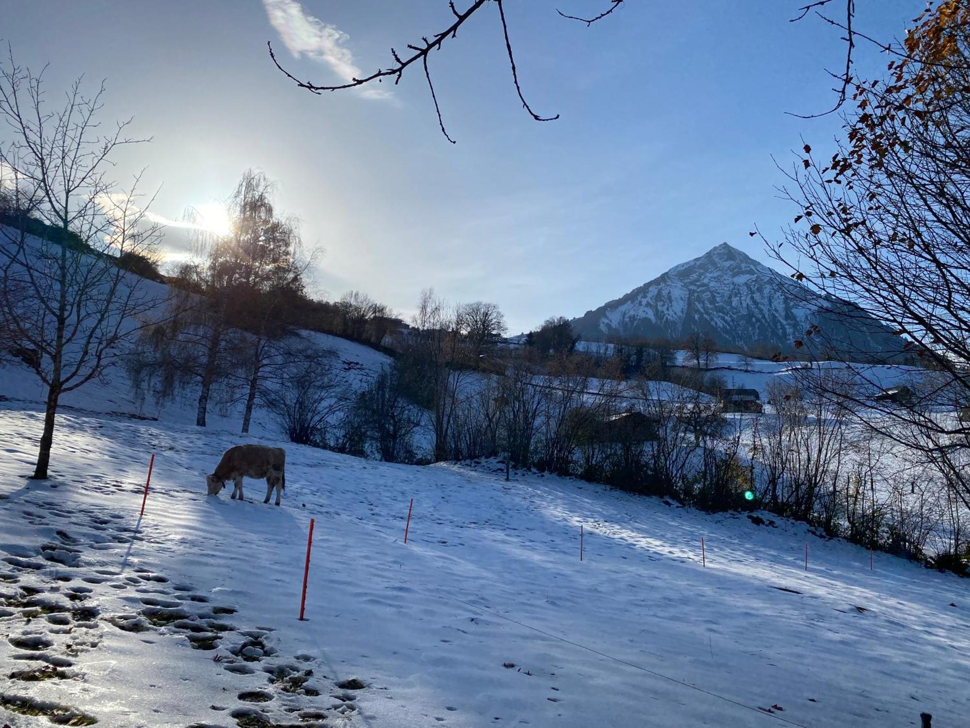 Herrlicher Blick Auf Berge Und See ファウレンゼー エクステリア 写真